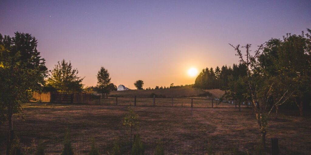Homesteading in an Apartment